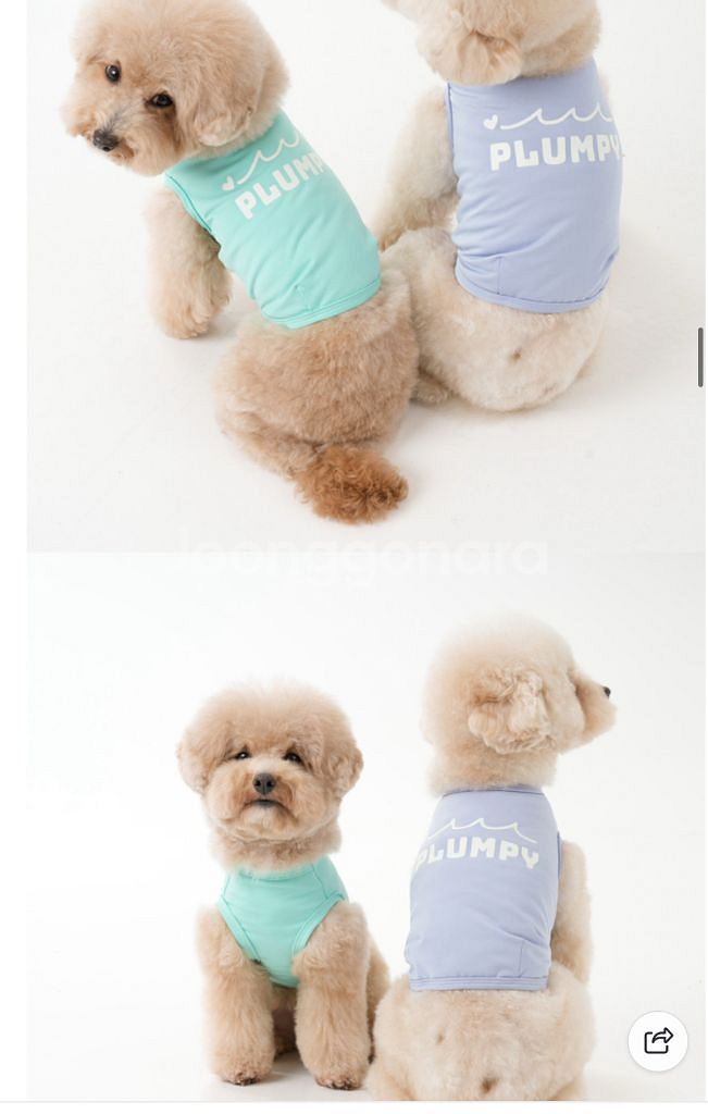 소형견 여름용 쿨나시 여름옷 (수영복겸용)--3