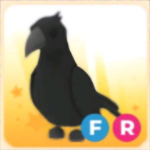 입양하세요 FR 까마귀 (까막)