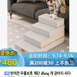 DFANG 강아지 무릎보호 계단오르기