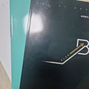 배기범 plan b