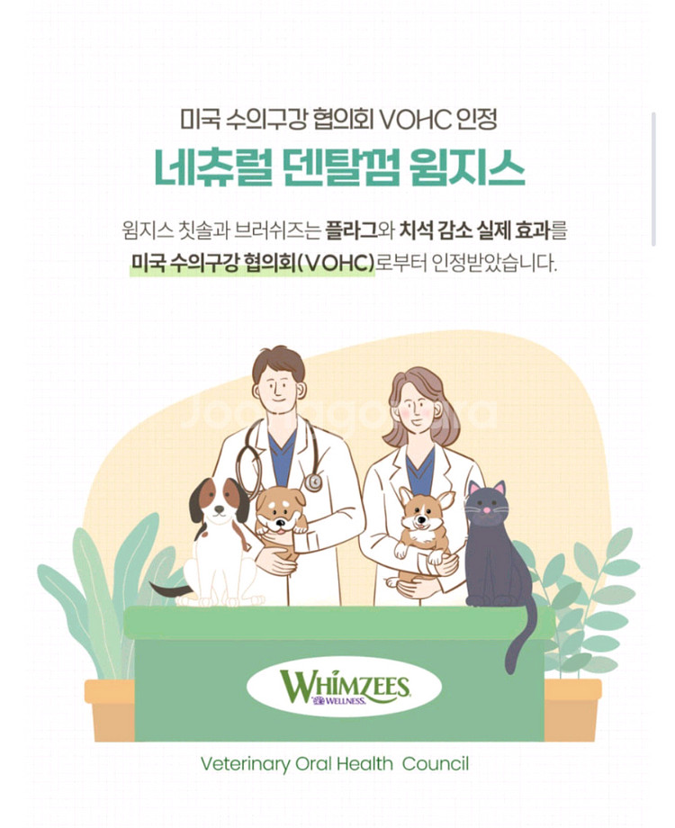 새제품 /윔지스 덴탈츄 퍼피/윔지스 덴탈껌/ 개껌--4