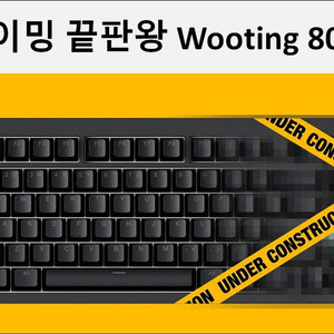 우팅 80he 구매합니다