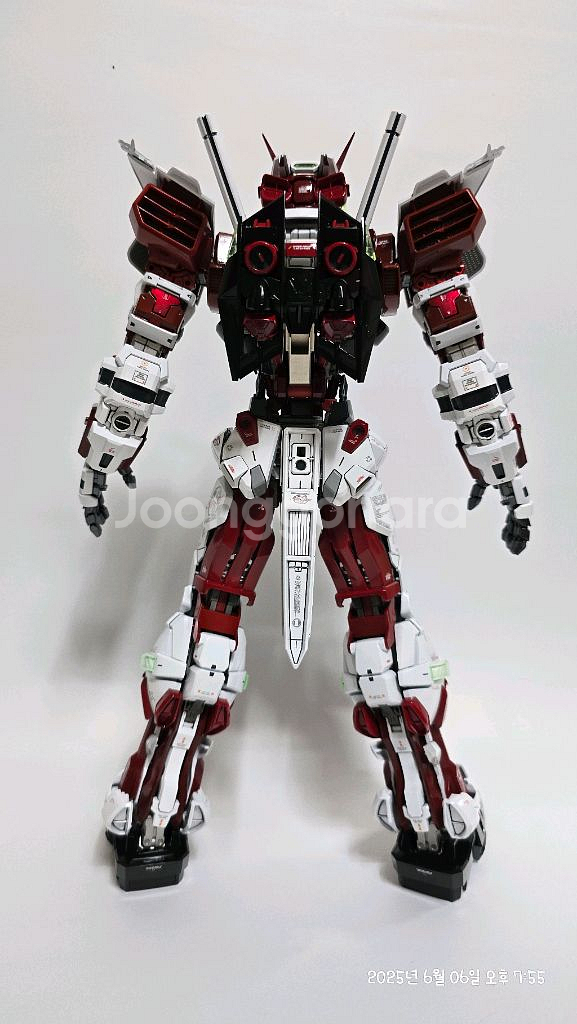 반다이 pg아스트레이 개수 풀도색작--1