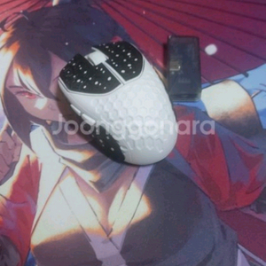 지울브스 htr