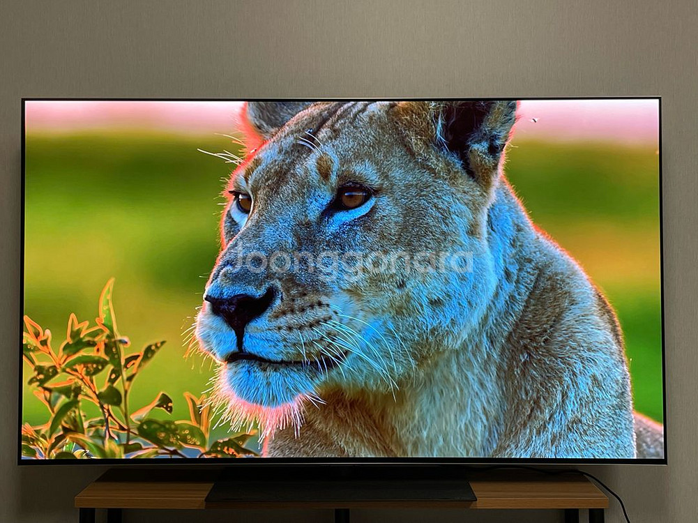 LG 올레드 G4 evo 55인치--2