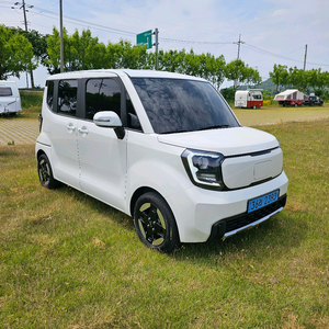 더뉴레이EV