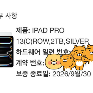 애케플)아이패드 프로 13인치 m4 2tb 셀룰러 팜