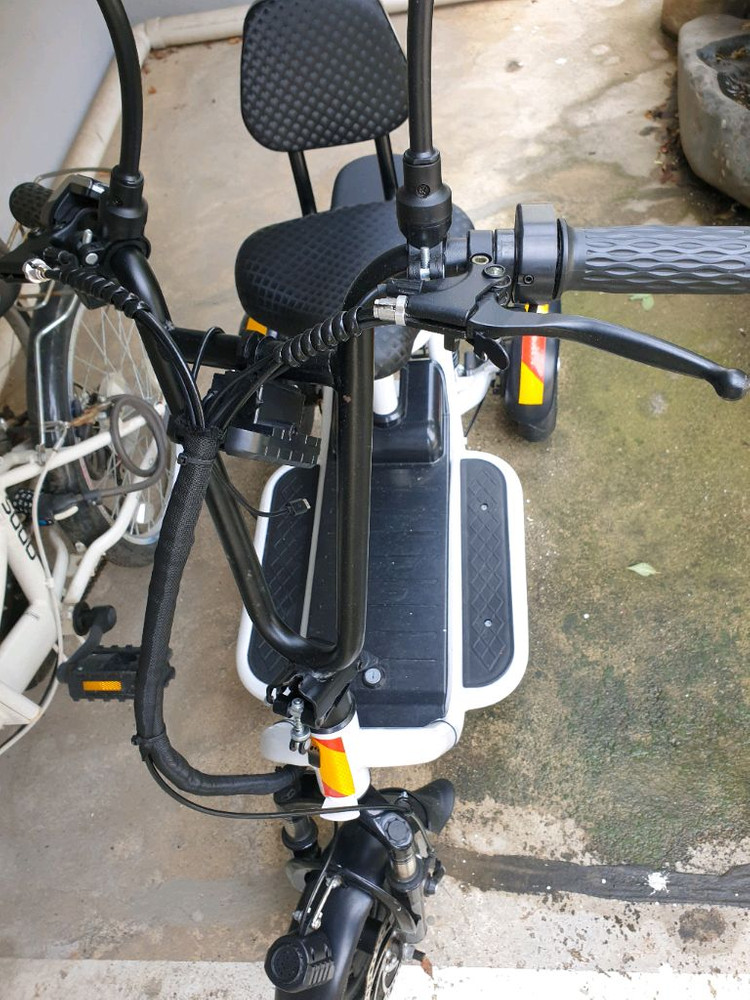 세발전기자전거 이미지