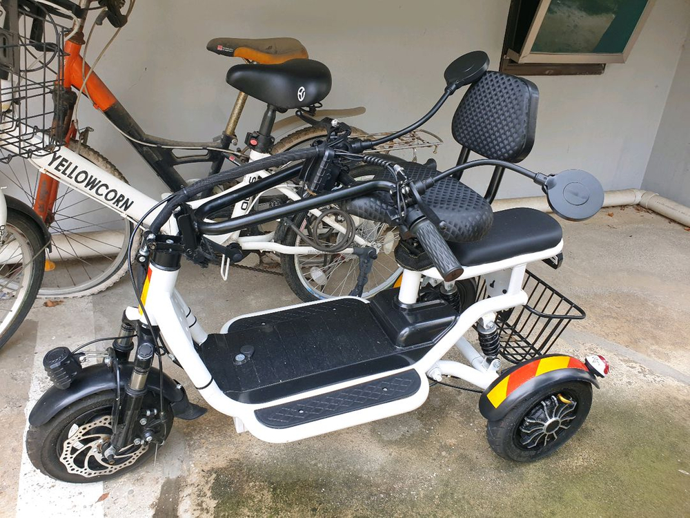 세발전기자전거 이미지