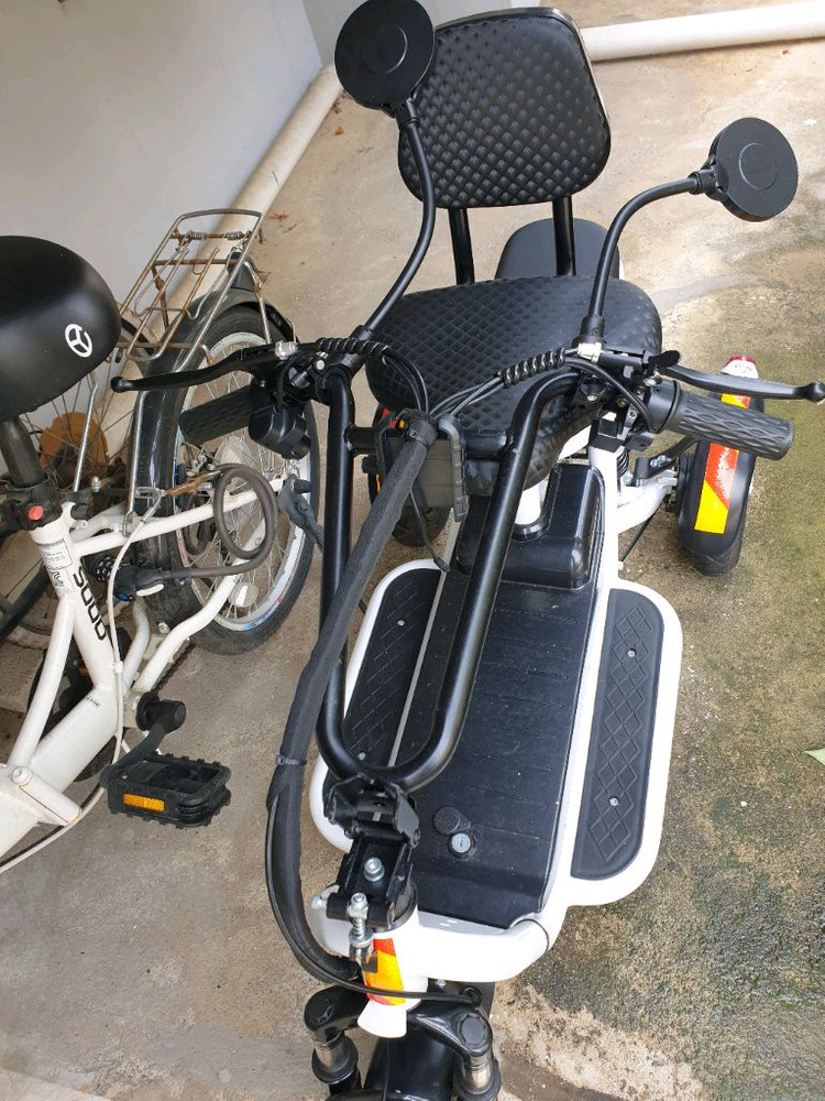 세발전기자전거 이미지