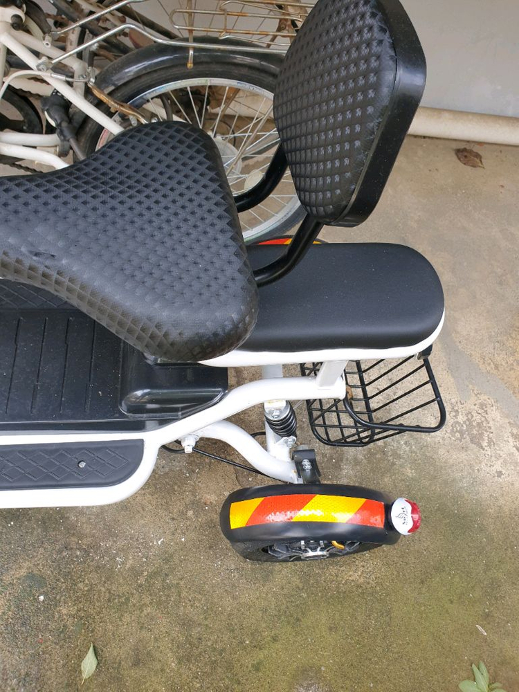 세발전기자전거 이미지