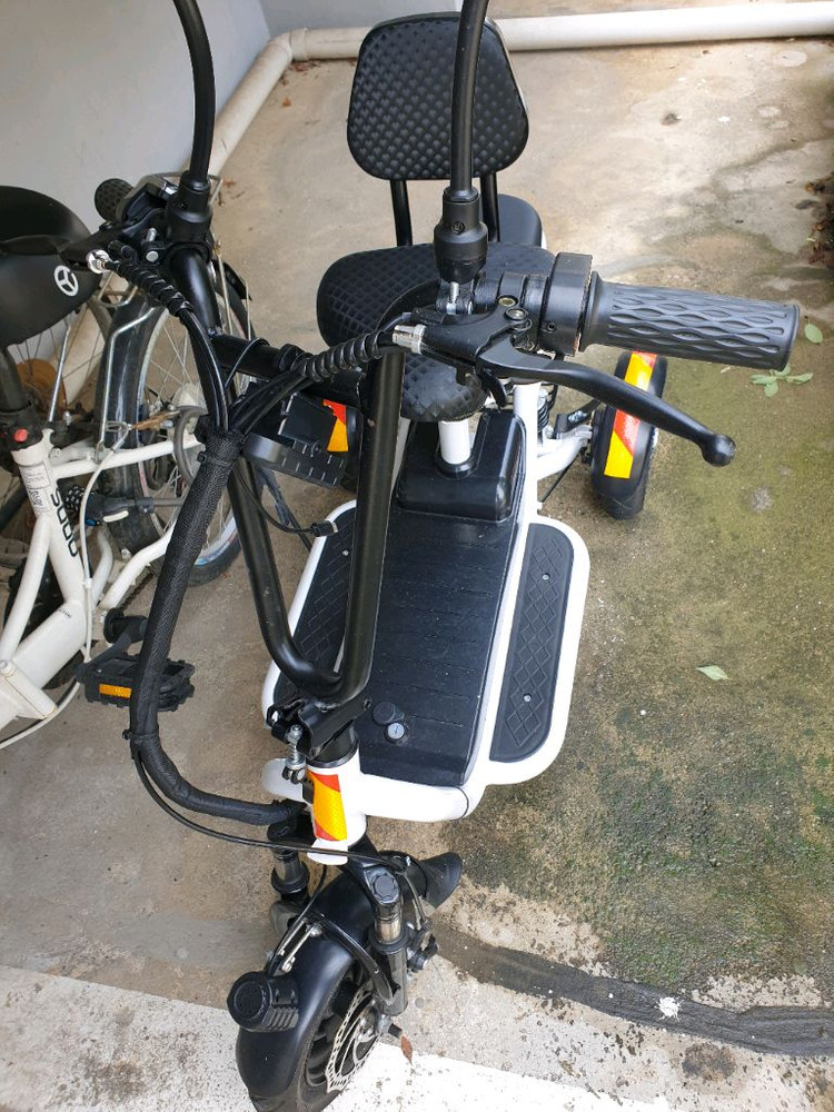 세발전기자전거 이미지