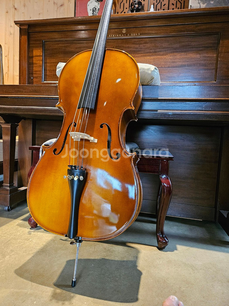 William Lewis & Son 4/4 첼로 판매--4