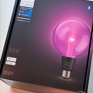 필립스 휴 화이트&컬러 앰비언스 스마트 전구 G125