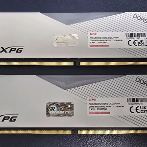 Cl40 8000 ddr5 48g 메모리