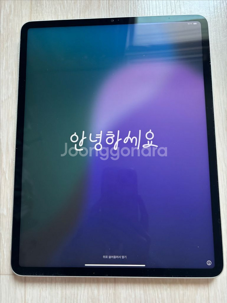 아이패드 프로 5세대 12.9 256gb 실버+애플펜슬--2