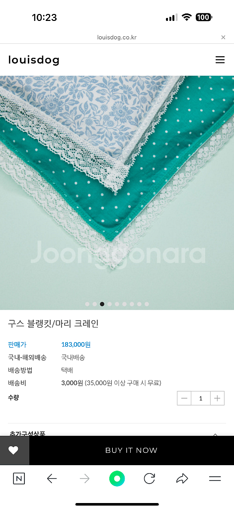 루이독러그--0