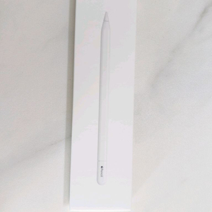 애플펜슬(USB-C)