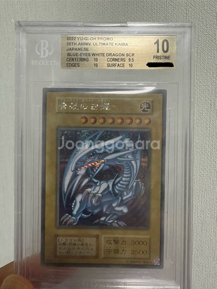 bgs 10 푸른눈의백룡 카이바 25주년--0