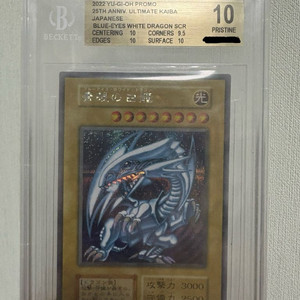 bgs 10 푸른눈의백룡 카이바 25주년