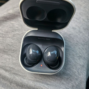 갤럭시 버즈2 sm r117