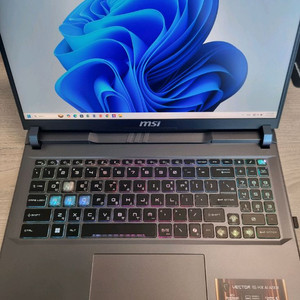 MSI 벡터 16 HX RTX5070Ti