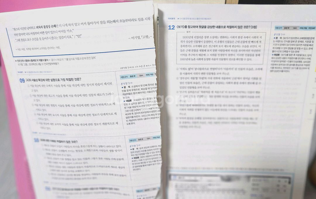 고3수능 국어문학문제집--3