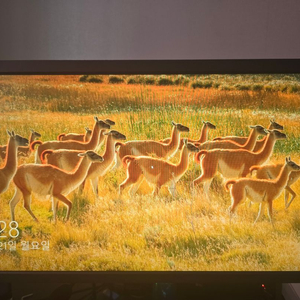 벤큐 XL2586X 540hz모니터 판매합니다