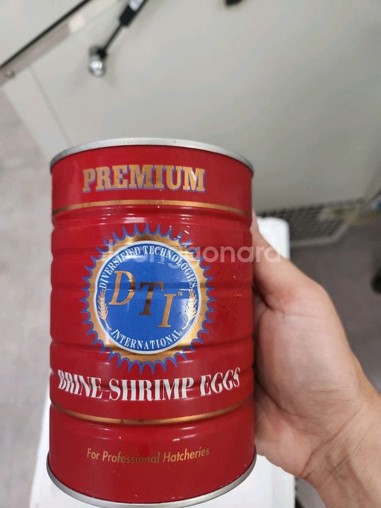 프리미엄 DTI 셉아트 425g 전국제일 저렴--0