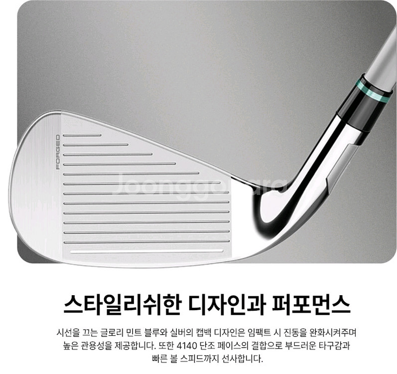 테일러메이드 글로리25년 여성아이언--2