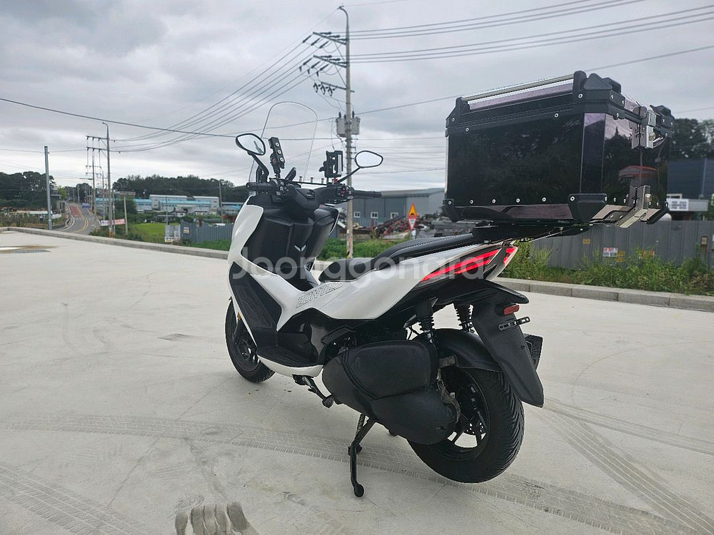 존테스350D / 24년식 / 1만키로 / 370만원--4