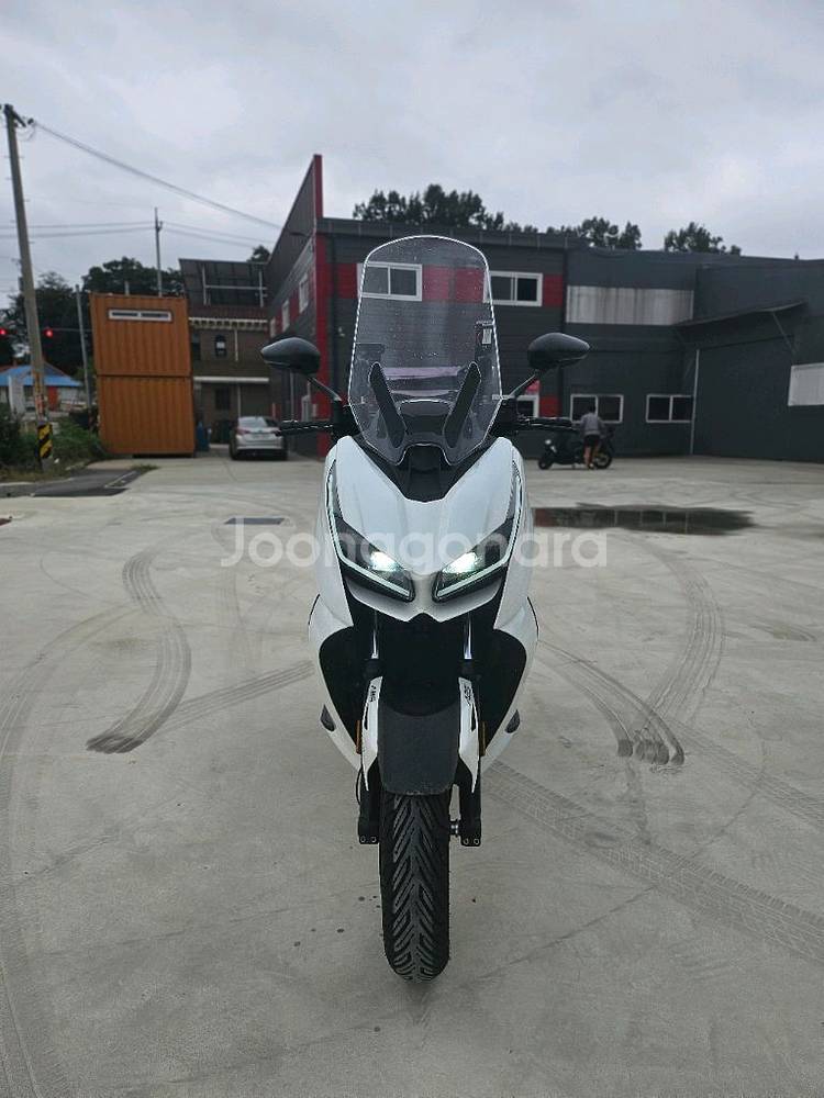 존테스350D / 24년식 / 1만키로 / 370만원--6