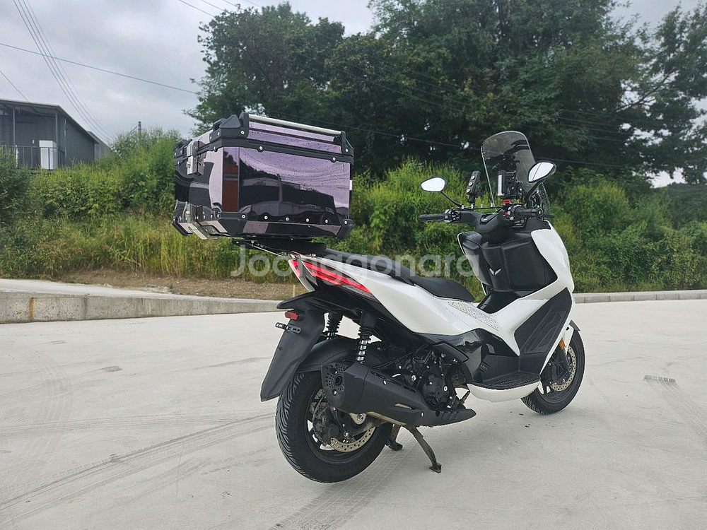 존테스350D / 24년식 / 1만키로 / 370만원--5