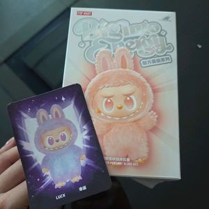 라부부하이라이트행운