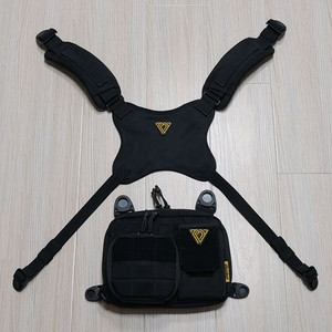 볼디스트 워크 체스트리그 V2 검정