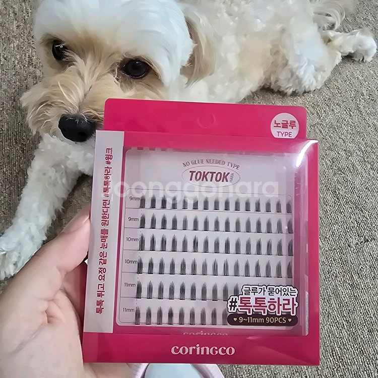 코링코 톡톡하라 노글루 속눈썹 윙크--0