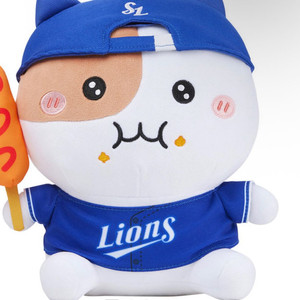 삼성vs한화오늘 118구역 단석 정가양도 17000원