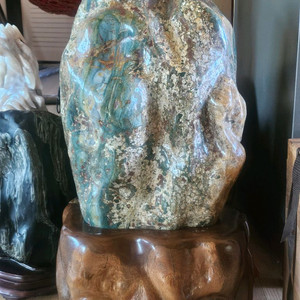화석옥화64~30cm