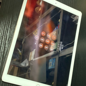 아이패드 프로 12.9 2세대 256gb 셀룰러+팬슬