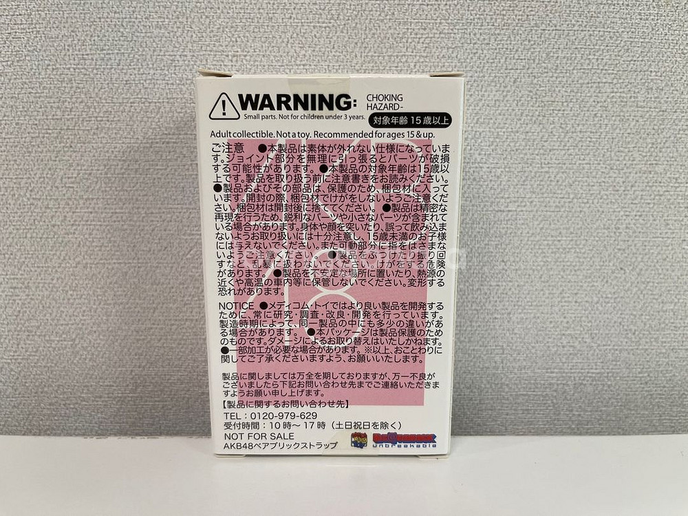 AKB48 x 베어브릭 100% 13번 사야카 나카야--3