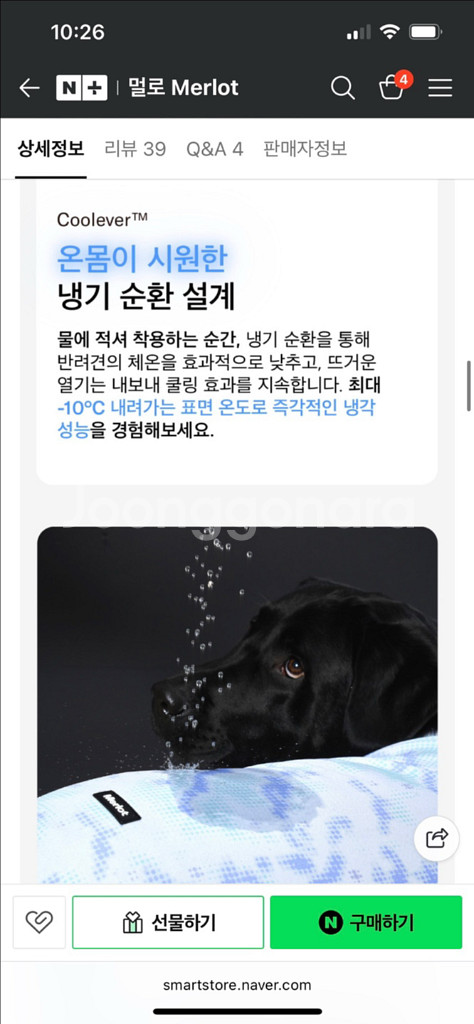 Merlot Coore Suit 강아지 쿨링 수트새거--5