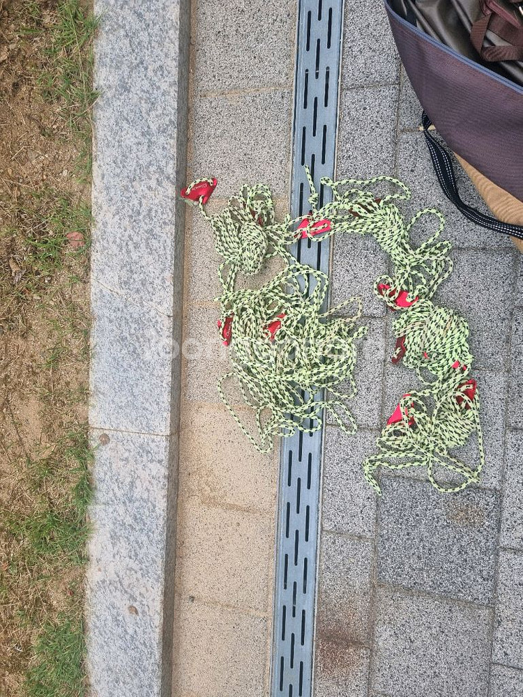홀리데이 타프 팝니다--3