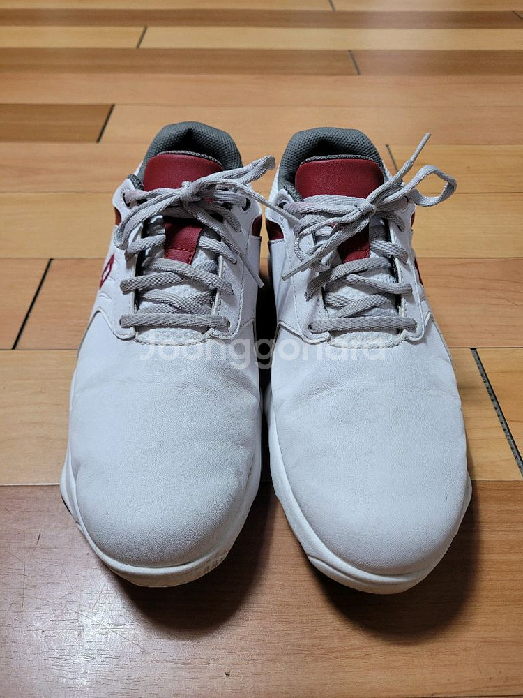 풋조이 eComfort 남성 골프화(255~260mm)--0