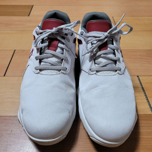 풋조이 eComfort 남성 골프화(255~260mm)