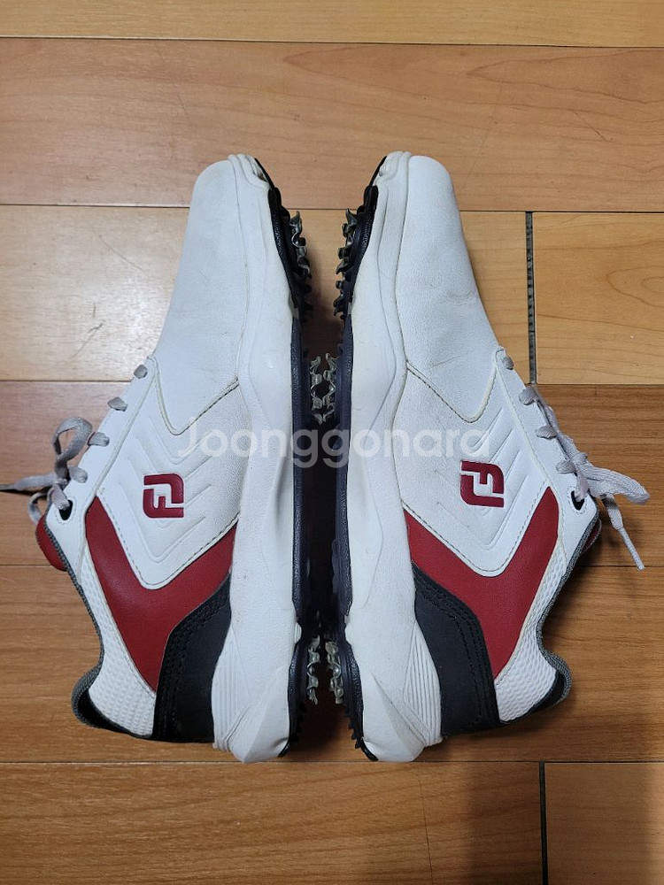 풋조이 eComfort 남성 골프화(255~260mm)--6