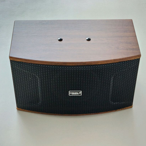 카날스 노래방 스피커. 매장 스피커