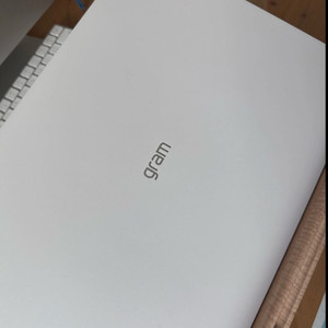 LG 그램 Pro 16 16Z90TP-GA5HK