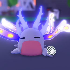 입양하세요 NR 바다 달팽이 급처!!