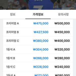 토트넘 뉴캐슬 프리미엄b 2장