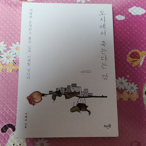 도시에서 죽는다는 것 소설책
